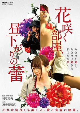 第九次日落 高清电影海报